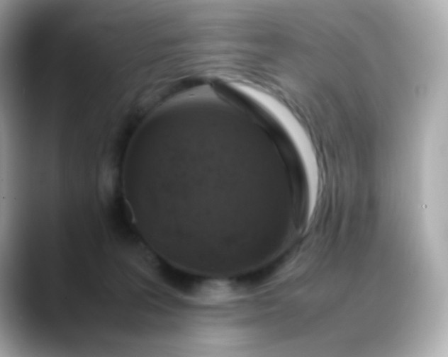 X0000088400227200706051141