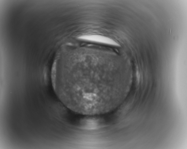 X0000088400228200706051141