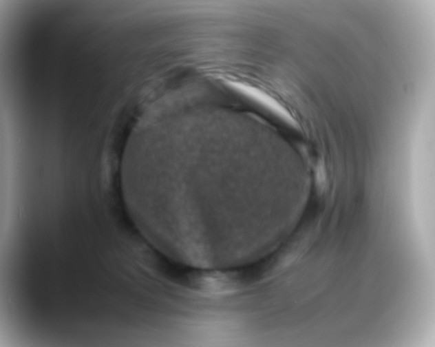 X0000088400229200706051141