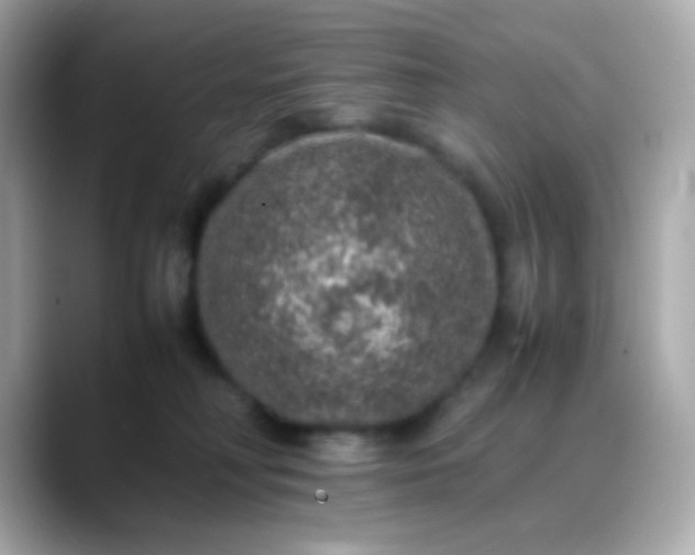 X0000088400230200706051141