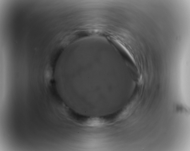 X0000088400231200706051141