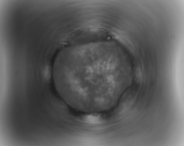 X0000088400232200706051141