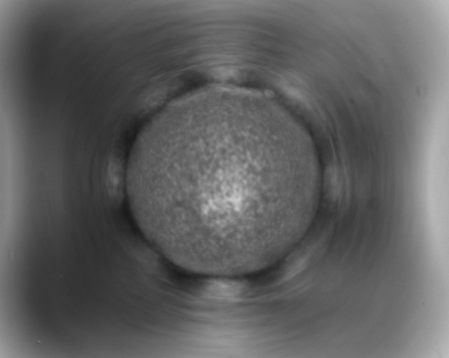 X0000088400234200706051141