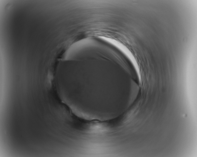 X0000088400235200706051141