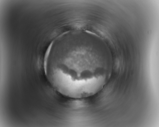 X0000088400236200706051141