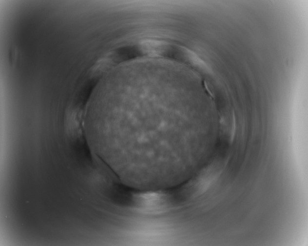 X0000088400237200706051141