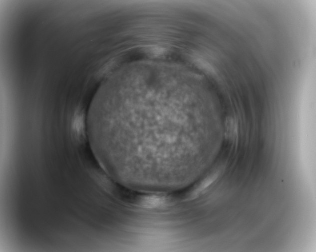 X0000088400238200706051141