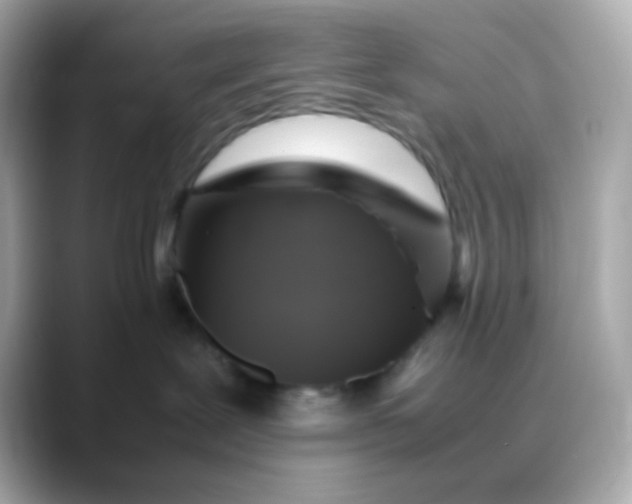 X0000088400239200706051141