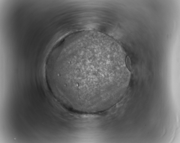 X0000088400242200706051141