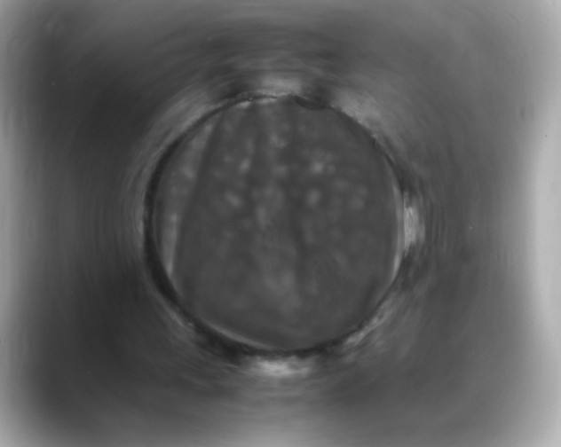 X0000088400243200706051141