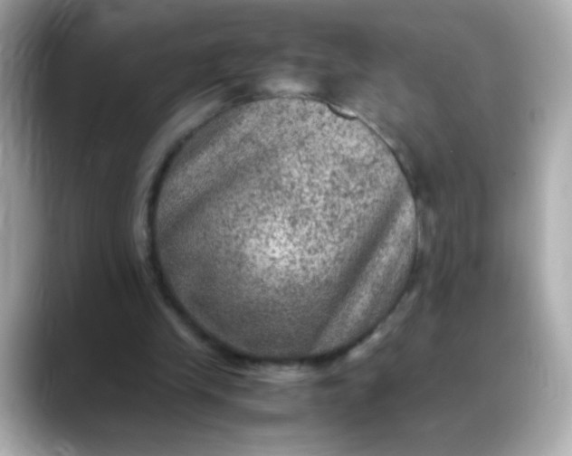 X0000088400245200706051141