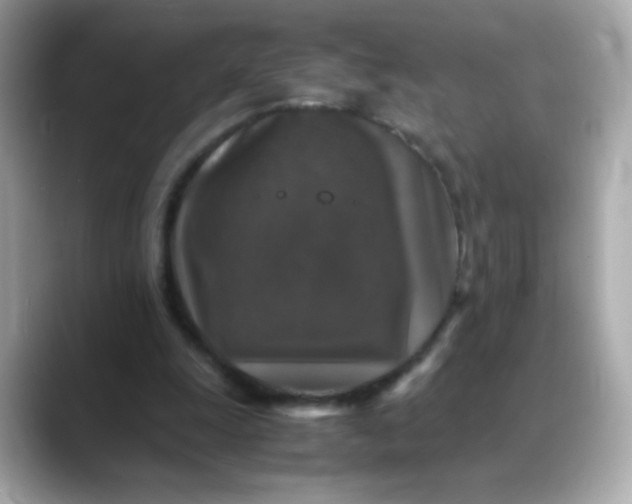 X0000088400247200706051141