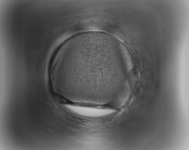 X0000088400248200706051141