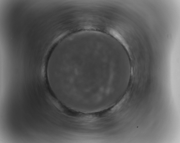 X0000088400249200706051141