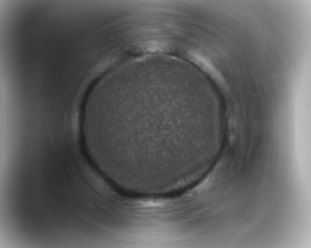 X0000088400250200706051141