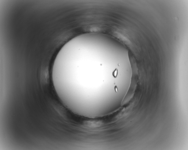 X0000088400251200706051141