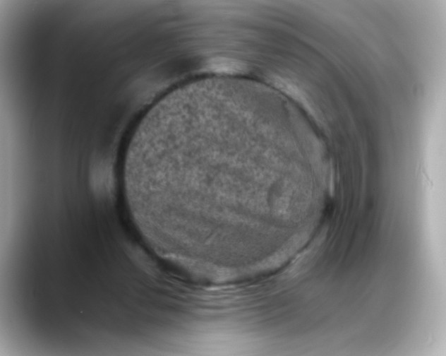 X0000088400252200706051141