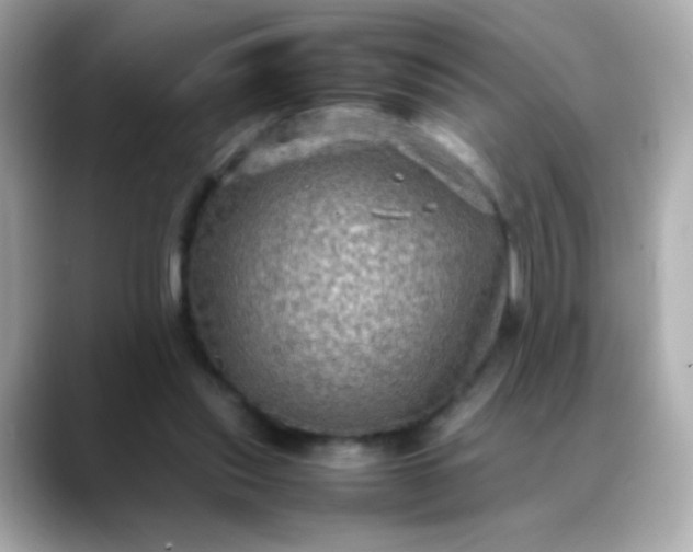 X0000088400253200706051141