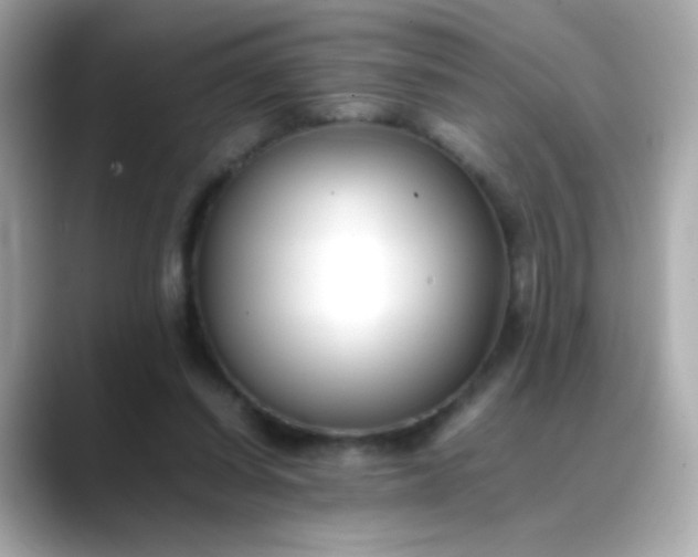 X0000088400254200706051141