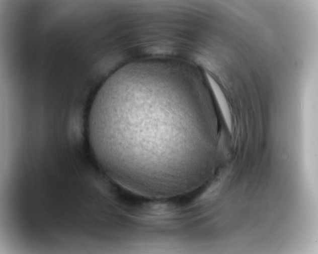 X0000088400255200706051141