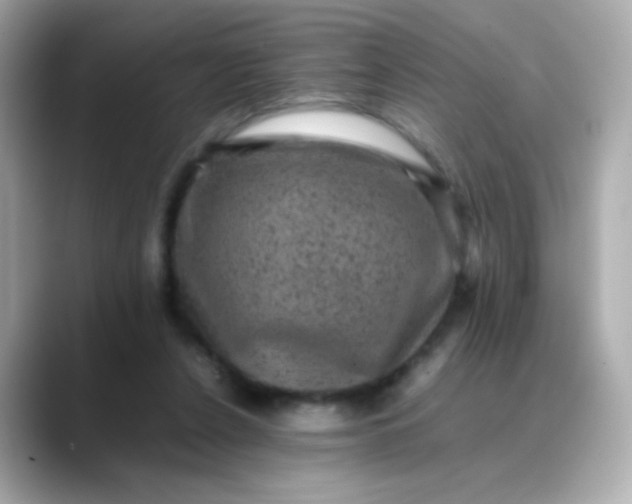 X0000088400256200706051141