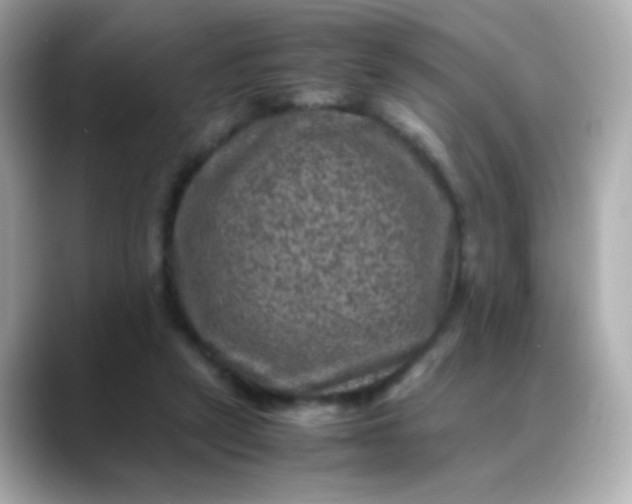 X0000088400257200706051141