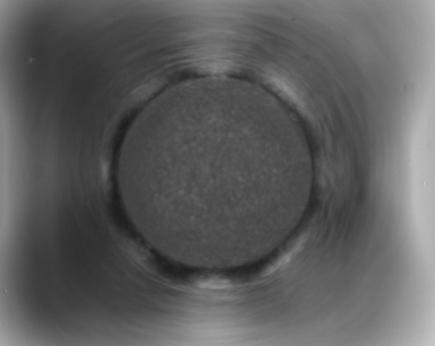 X0000088400258200706051141