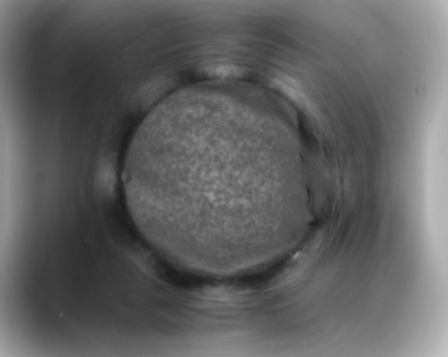 X0000088400259200706051141