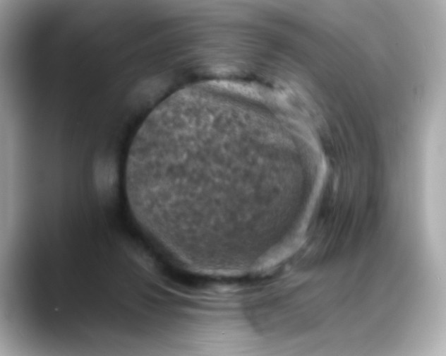 X0000088400260200706051141