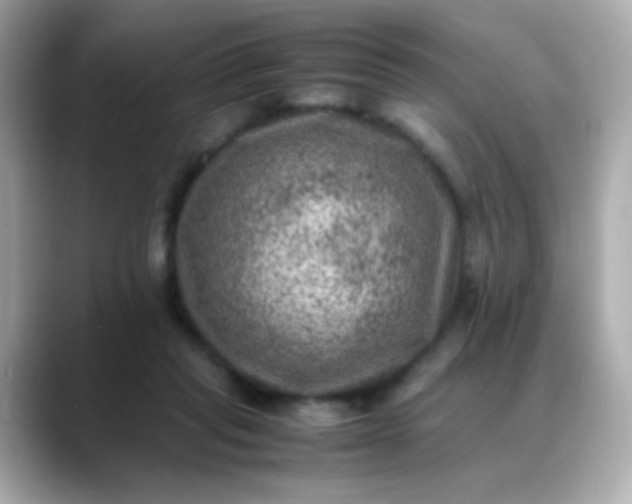 X0000088400261200706051141