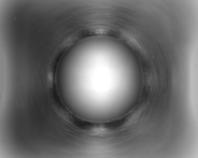 X0000088400262200706051141