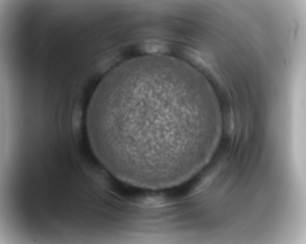 X0000088400263200706051141