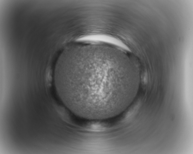 X0000088400264200706051141