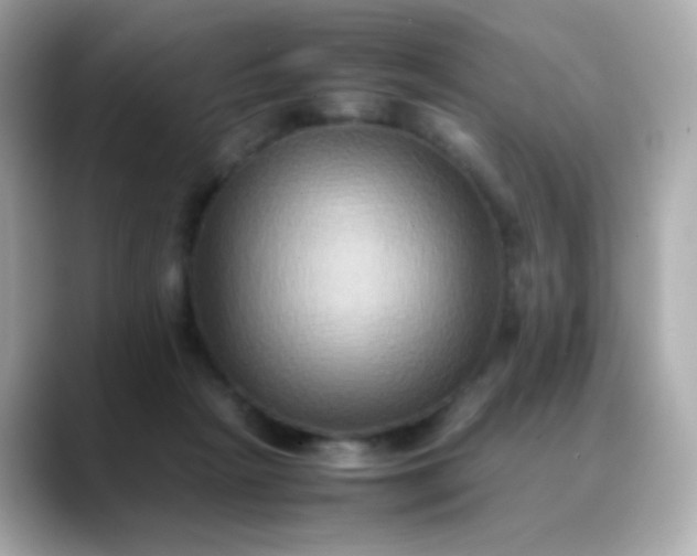 X0000088400265200706051141