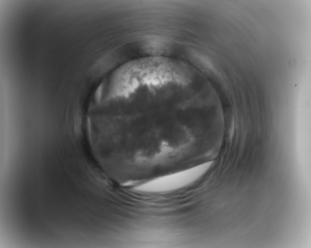 X0000088400266200706051141