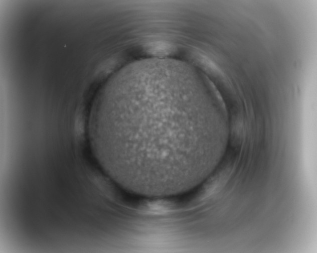 X0000088400268200706051141