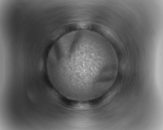 X0000088400270200706051141