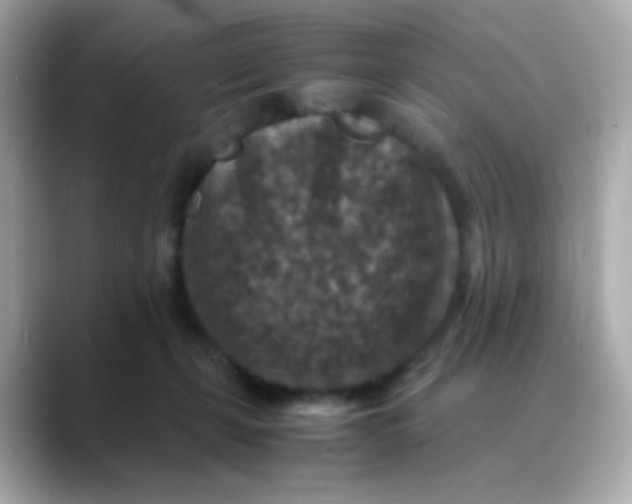 X0000088400271200706051141