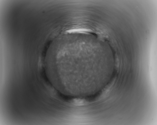 X0000088400272200706051141