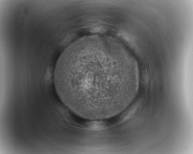 X0000088400273200706051141