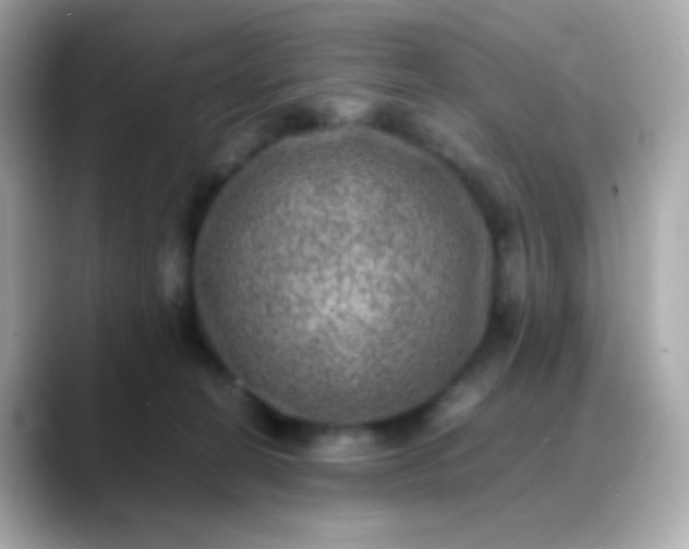 X0000088400274200706051141