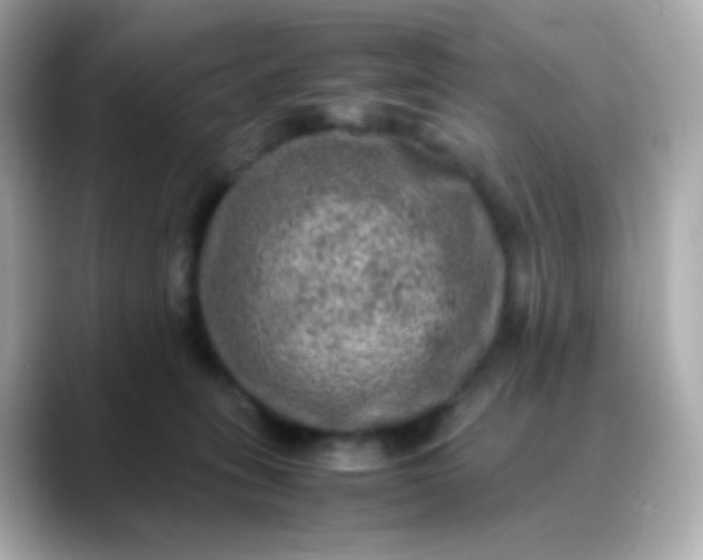 X0000088400275200706051141