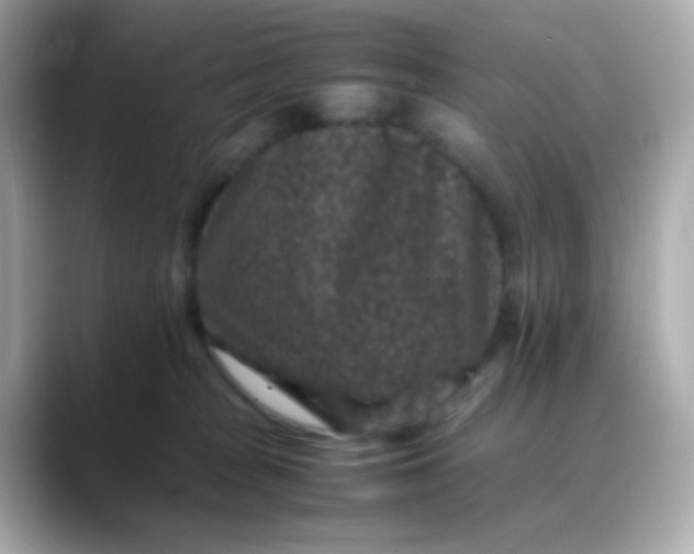 X0000088400277200706051141