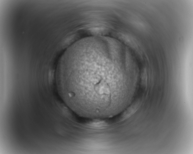 X0000088400278200706051141