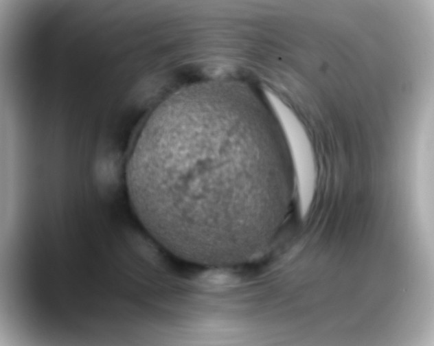 X0000088400280200706051141