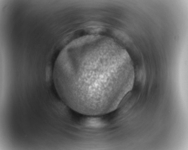 X0000088400283200706051141