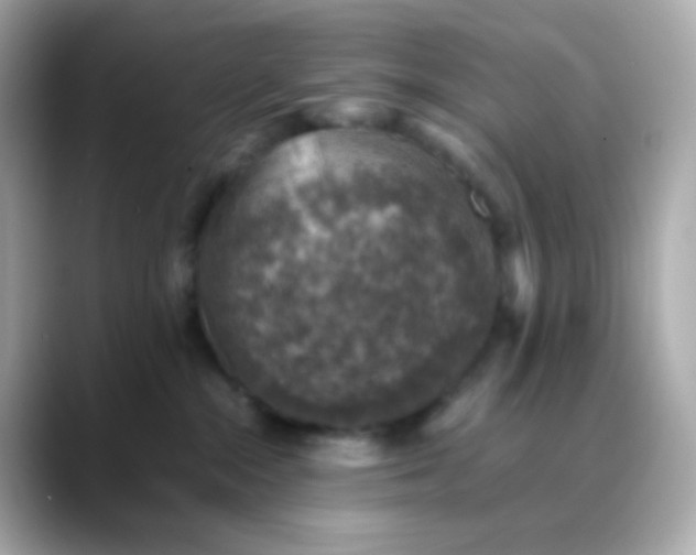 X0000088400284200706051141