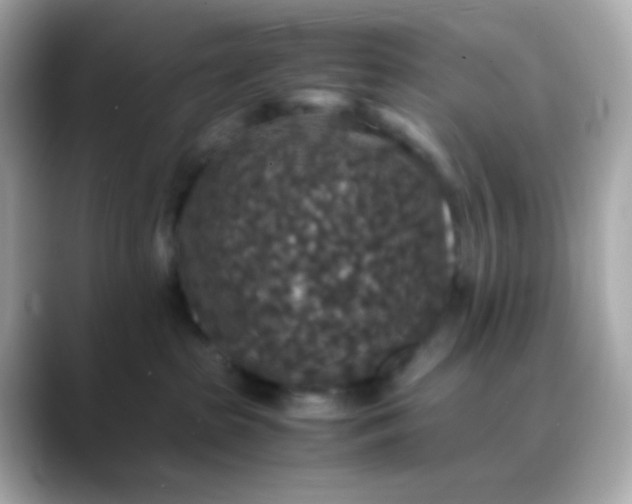 X0000088400285200706051141