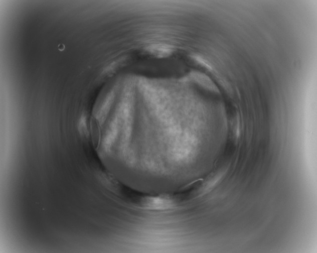 X0000088400286200706051141