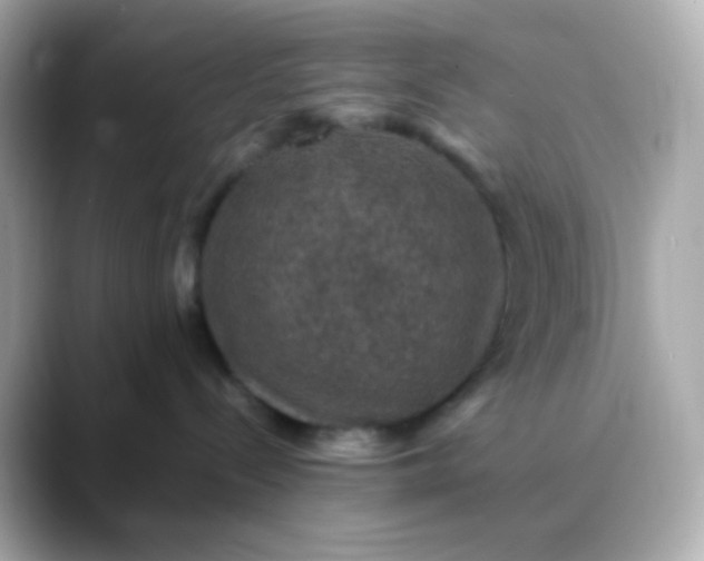 X0000088400288200706051141